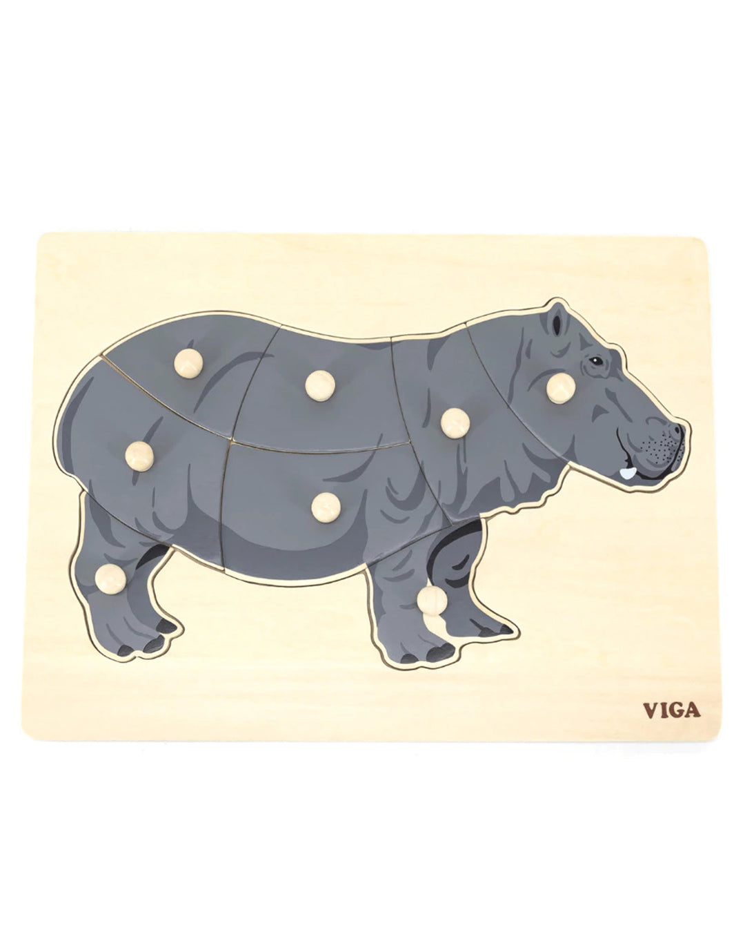 montissori hippo aleemaz.com  montissori hippo aleemaz.com